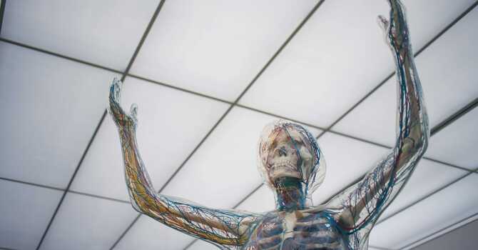 Other Soft Tissue Therapies